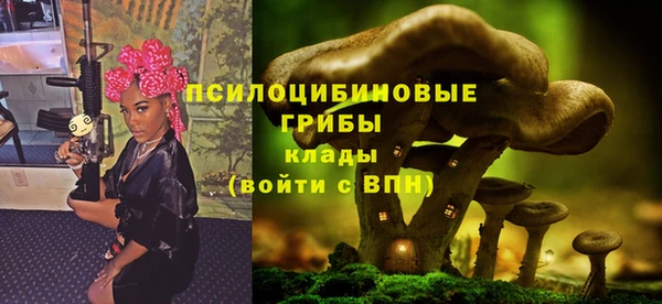 индика Алексеевка