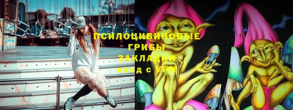 индика Алексеевка