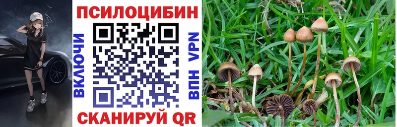 Галлюциногенные грибы Cubensis Таштагол