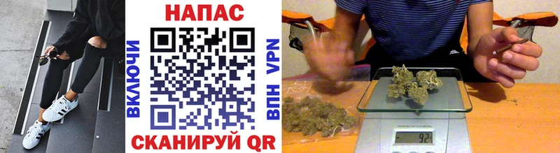 Канабис планчик Таштагол